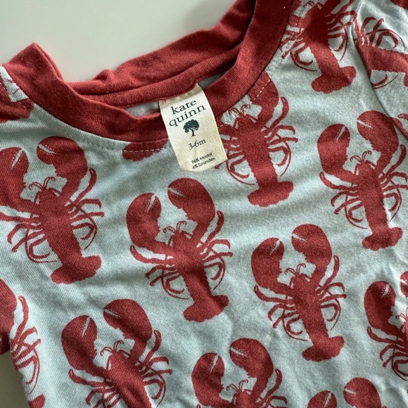 Kate Quinn Infant Clothing Bundle – Size 3–6 Months - Picture 3 of 5